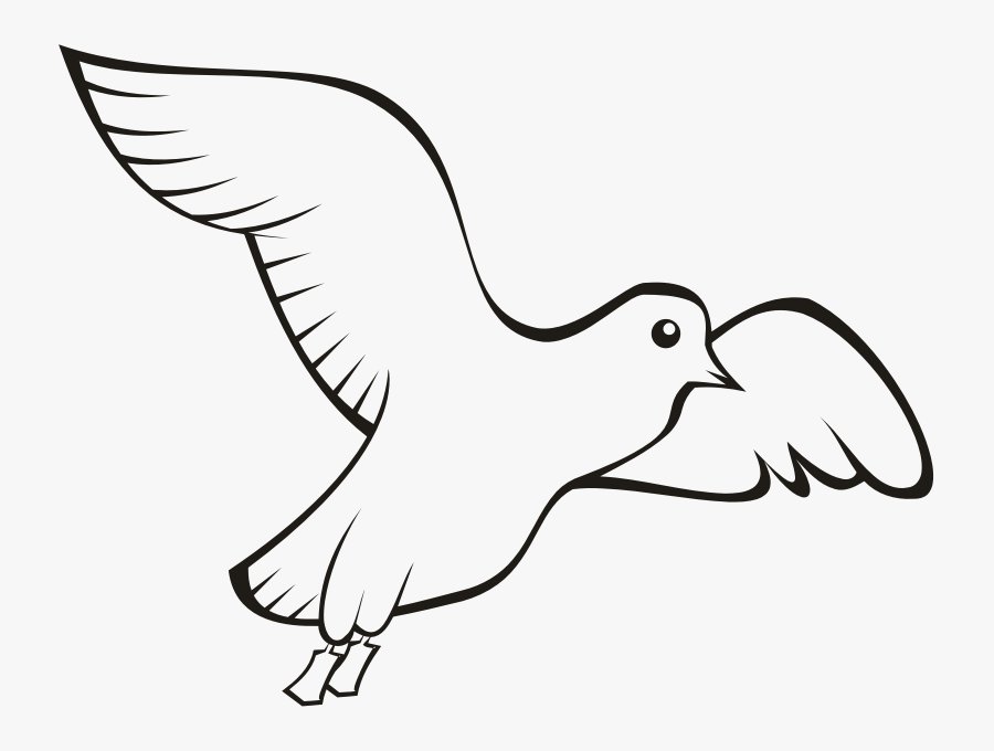 Bird Beak Domestic Pigeon Columbidae Clip Art - Homing Pigeon Outline, Transparent Clipart