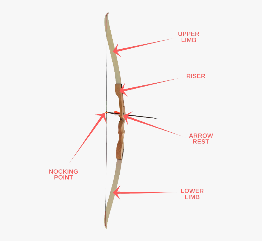 Clip Art Recurve Bow Everything You - Structure Of A Bow, Transparent Clipart