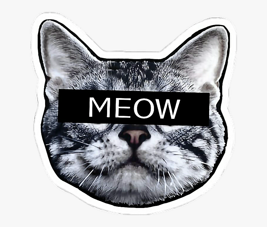 #gato #cat #meow #gatotumblr - Acid Trip Gif, Transparent Clipart