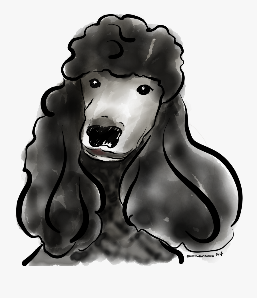 Standard Poodle, Transparent Clipart