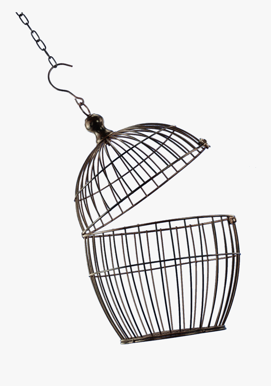 open bird cage png free transparent clipart clipartkey open bird cage png free transparent