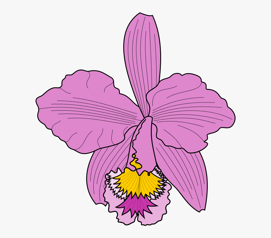 Petal Clipart Cattleya Orchids Moth Orchids - Cattleya Trianae Icon, Transparent Clipart