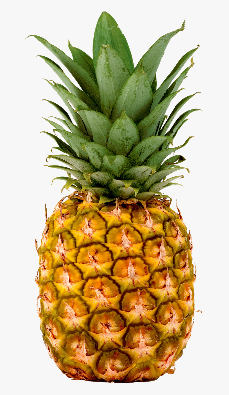 Pineapple, Pineapples Fresh Imports - Pineapple Png, Transparent Clipart