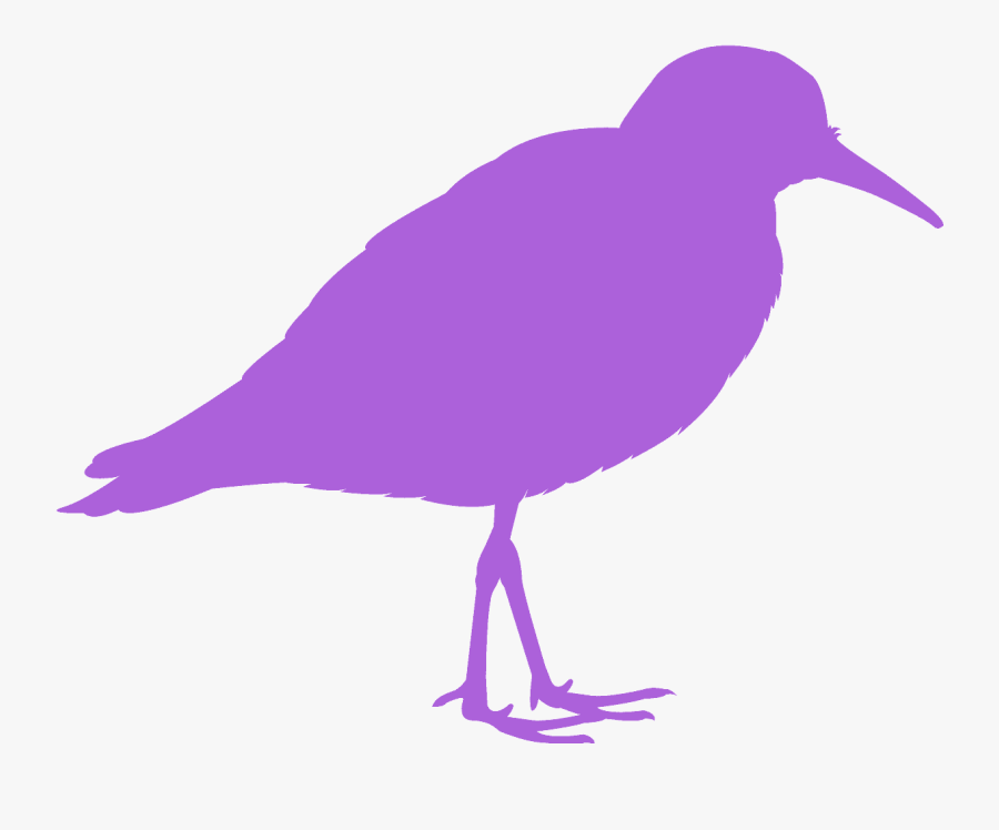 Least Sandpiper Silhouette, Transparent Clipart