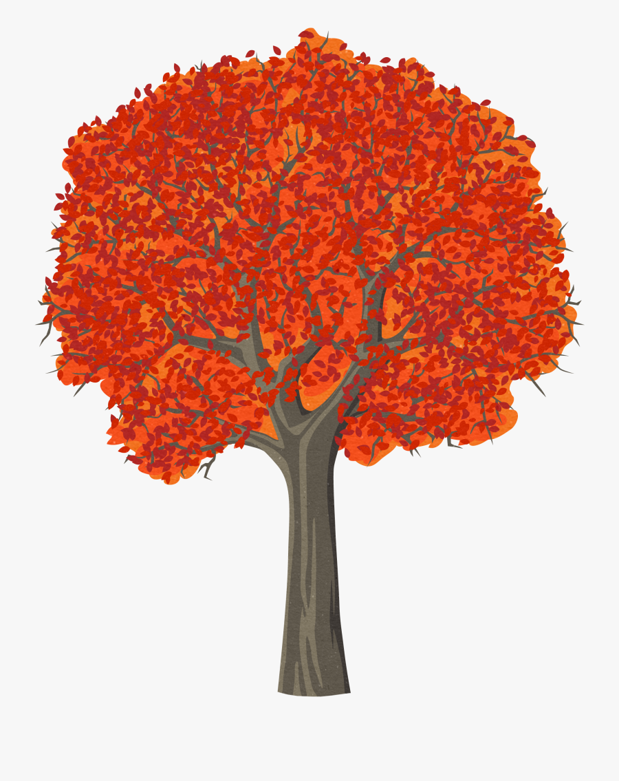 Red Maple Tree Drawing , Free Transparent Clipart - ClipartKey