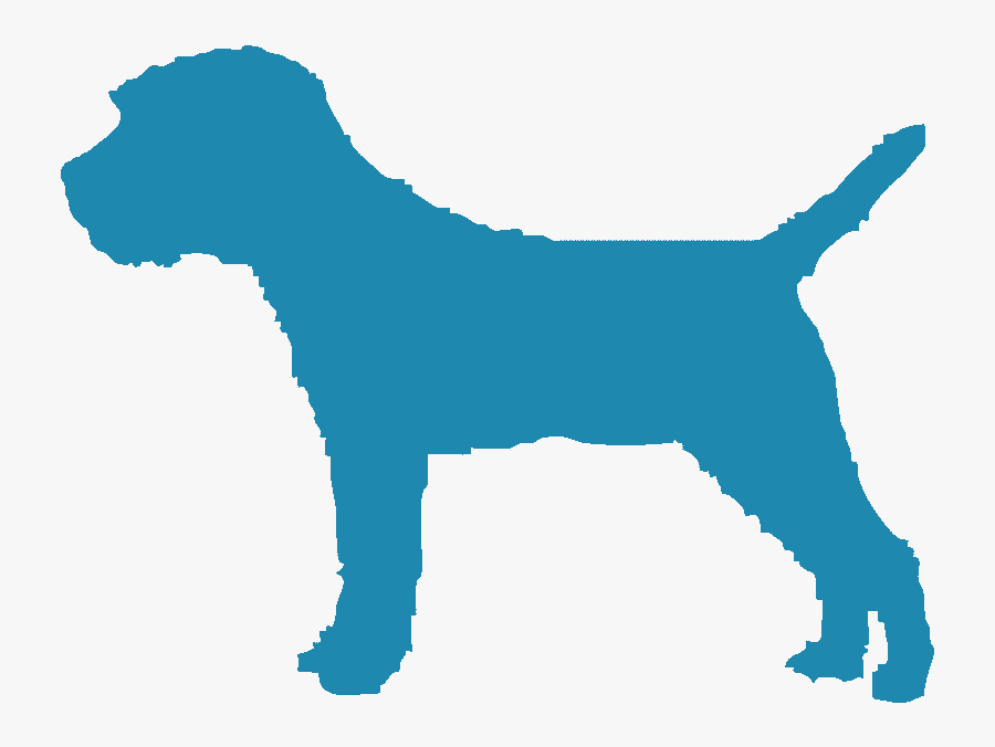 Faireview Border Terriers - Companion Dog, Transparent Clipart