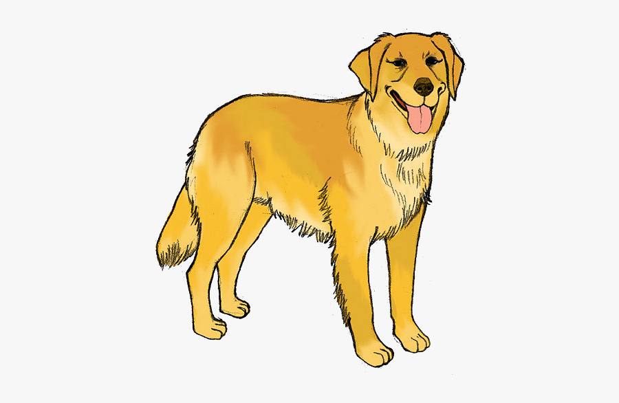 Dog Free Colorful Cliparts Clip Art On Transparent - Golden Retriever Colouring Page, Transparent Clipart