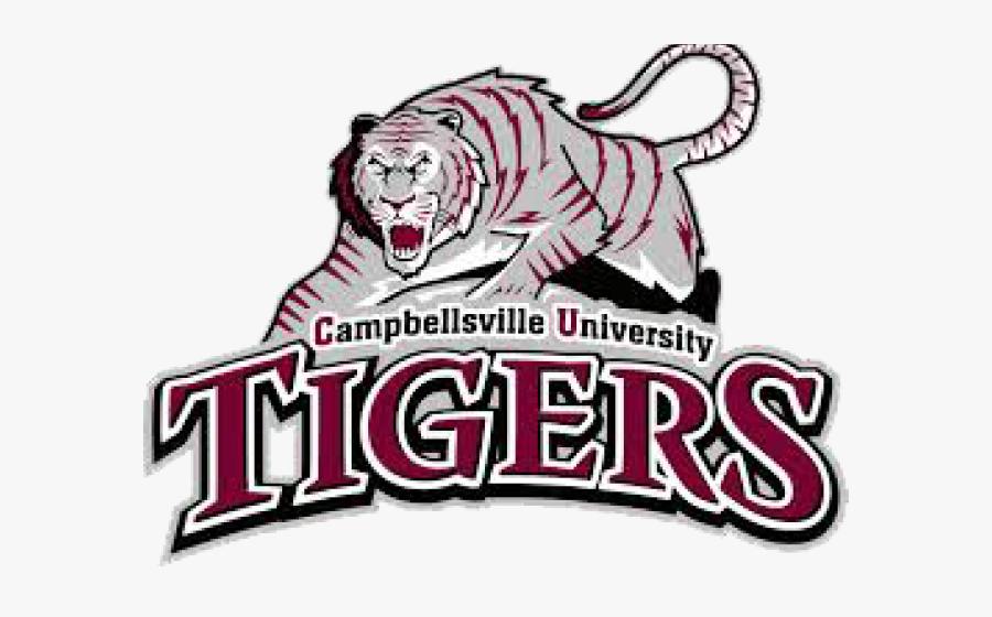 Transparent Tigers Clipart - Campbellsville Tigers, Transparent Clipart