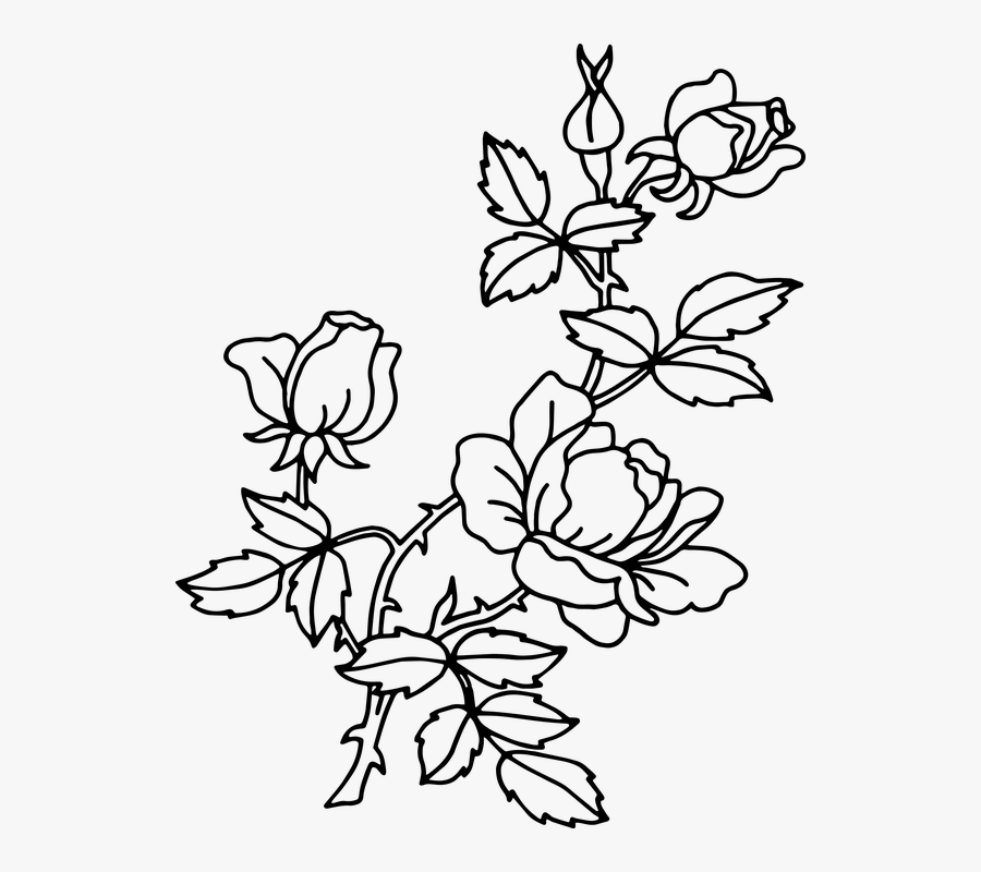 Free Printable Pictures Of Beautiful Flowers, Transparent Clipart