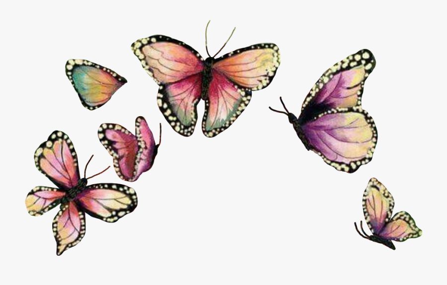 Butterflywings Mariposa Sticker Report - Butterfly Crown Png, Transparent Clipart