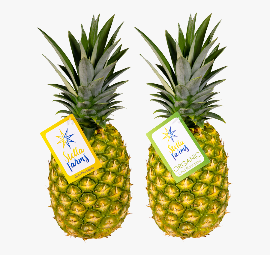 Transparent Gold Pineapple Png - Pineapple, Transparent Clipart