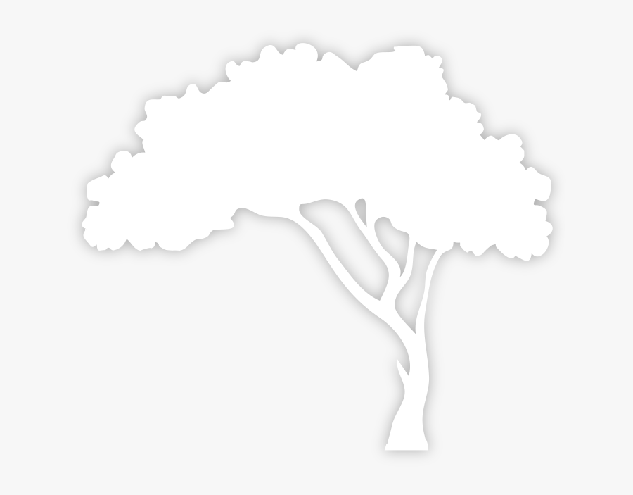Transparent White Tree Png - Silhouette White Tree Png, Transparent Clipart