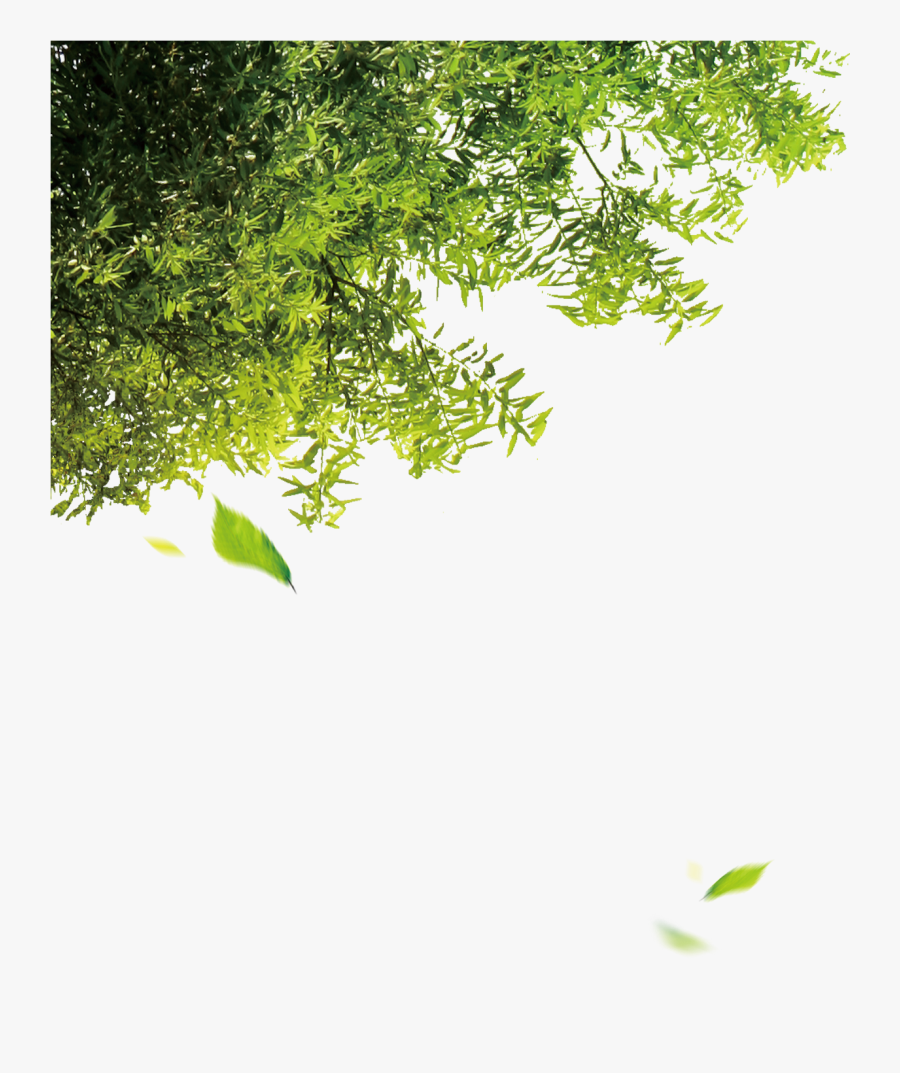 Leaf Computer Tree Trees File Free Png Hq Clipart - Tree File Png, Transparent Clipart