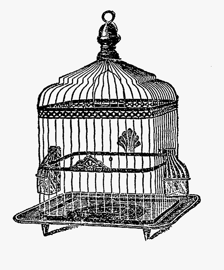 Cage, Transparent Clipart