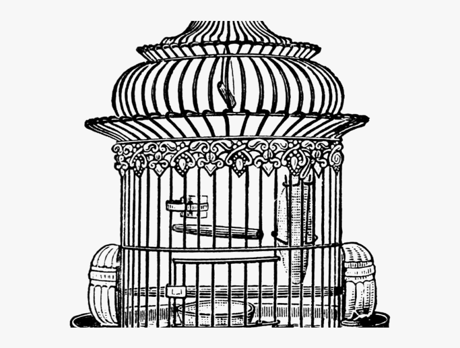 Birdcage Drawing Clipart , Png Download - Bird Cage Line Drawing, Transparent Clipart