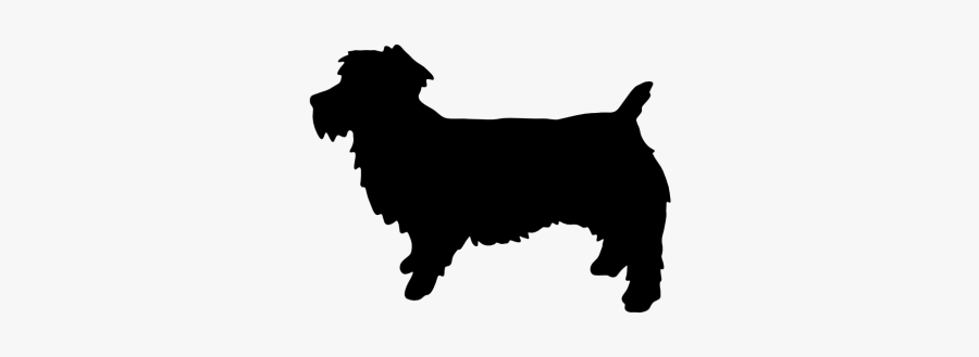 Border Collie Rough Collie Malinois Dog Belgian Shepherd - Cavalier King Charles Spaniel Silhouette Png, Transparent Clipart