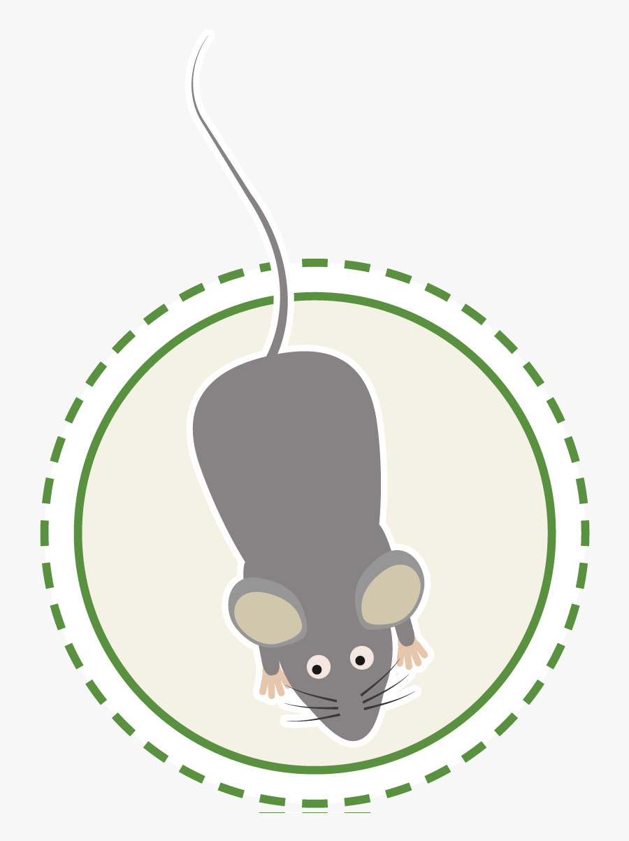 Mouse Circle, Transparent Clipart