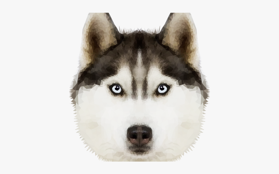 husky transparent png free transparent clipart clipartkey husky transparent png free