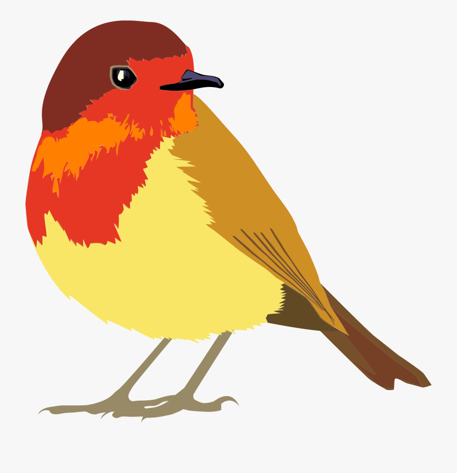 Vector Transparent Download Clipart Robin Bird - Robin Bird Clipart Png ...