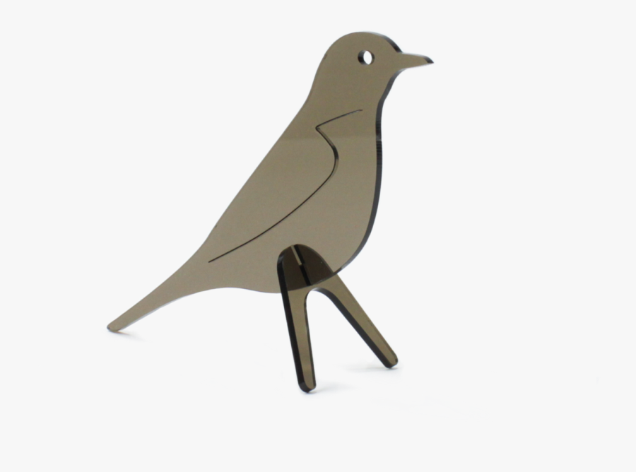 Robin Bird Png - Mountain Bluebird, Transparent Clipart
