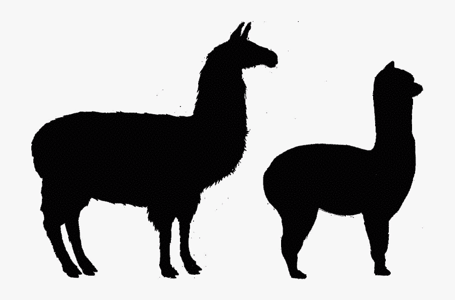 Download Alpaca Svg Silhouette Image Freeuse Download Free Transparent Clipart Clipartkey