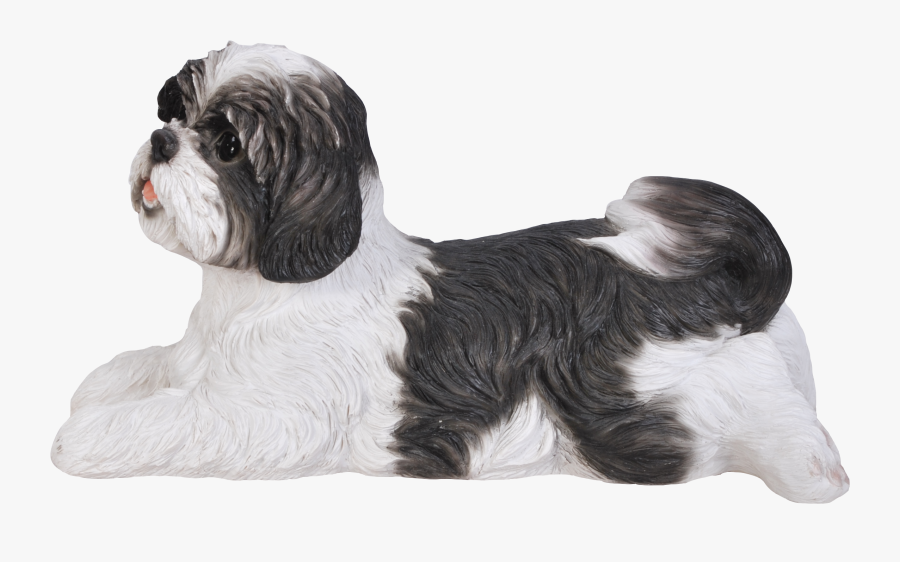 Tibetan Terrier, Transparent Clipart