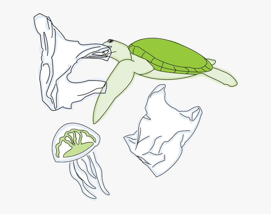 It"s Estimated That Over Half Of All Sea Turtles Have - Illustration, Transparent Clipart
