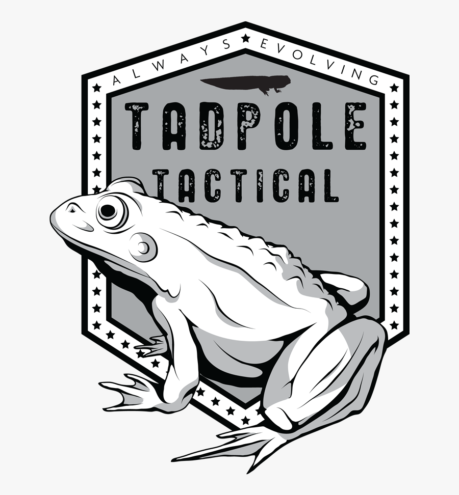Transparent Tadpole Png - True Frog, Transparent Clipart