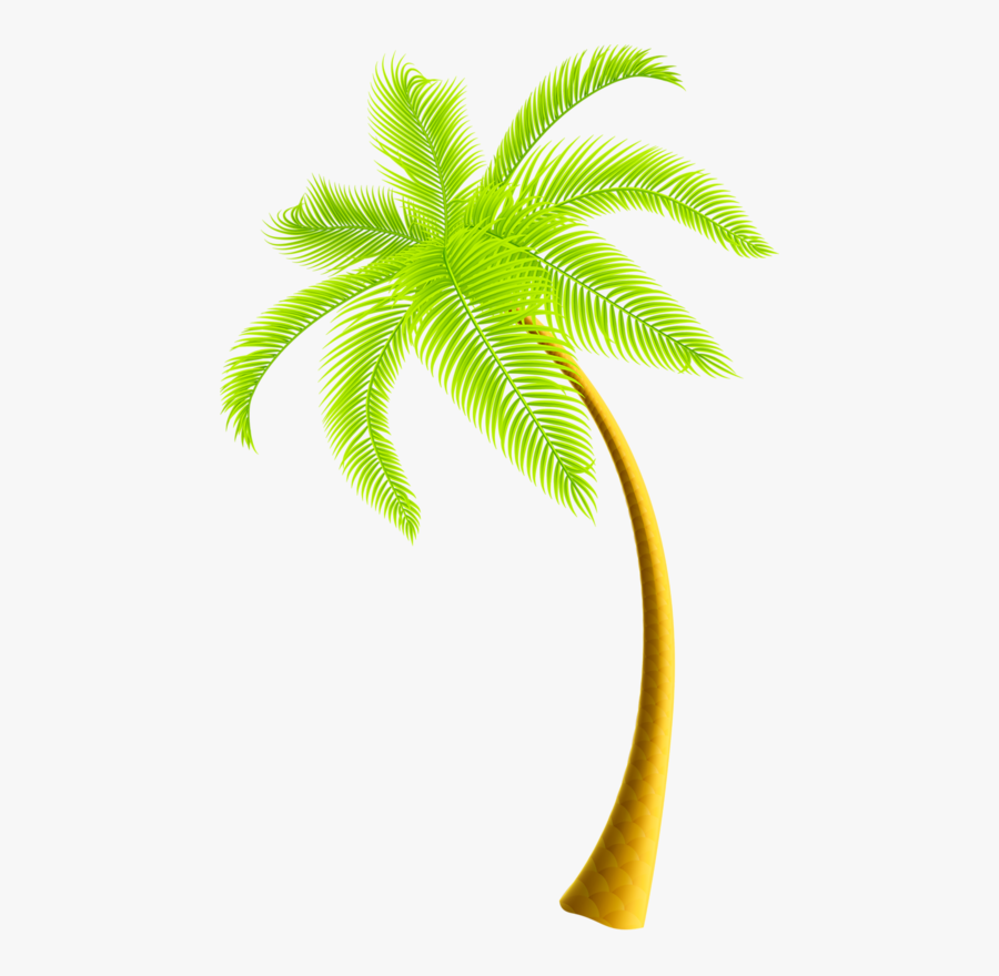 Coconut Tree Png Download Clip Art Coconut Tree Png Free Transparent Clipart Clipartkey