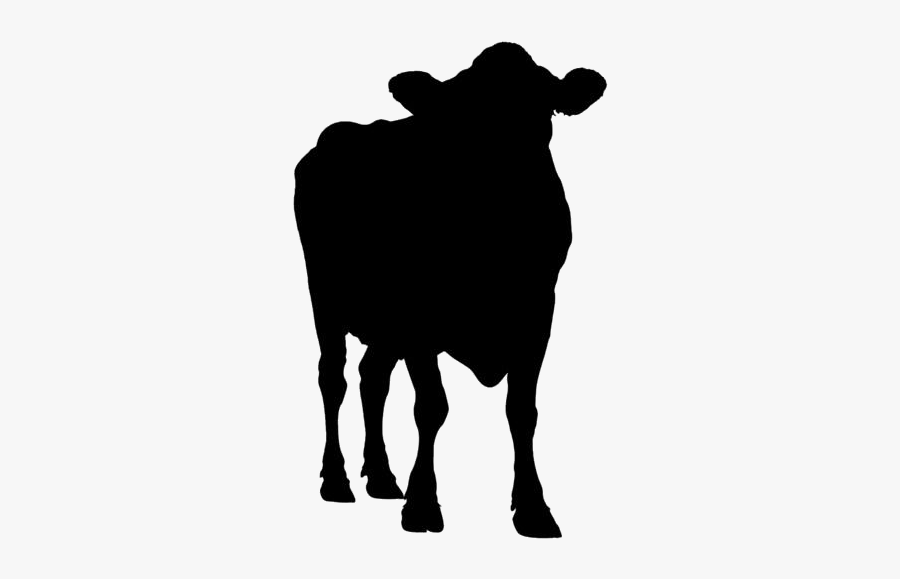 Baby Calf Png File - Baby Cow Silhouette, Transparent Clipart