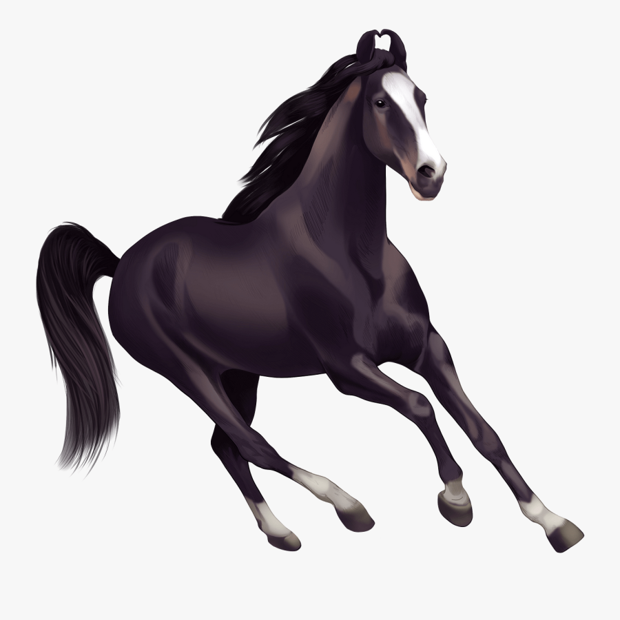 Stallion, Transparent Clipart