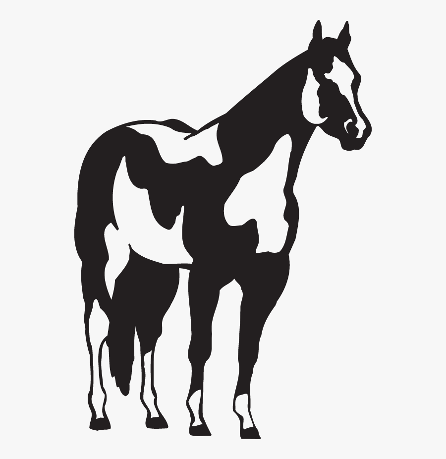 American Paint Horse American Quarter Horse Pony Decal - Paint Horse Clip Art, Transparent Clipart