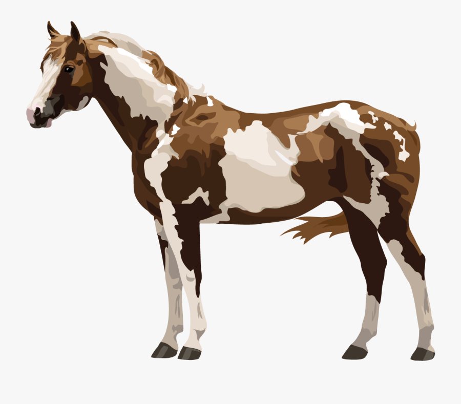 Appaloosa Horse Png - Painted Horse Transparent Background, Transparent Clipart
