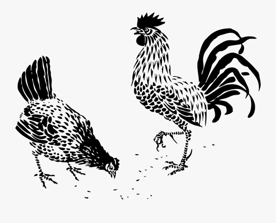 Chicken Food Clipart Black And White, Transparent Clipart