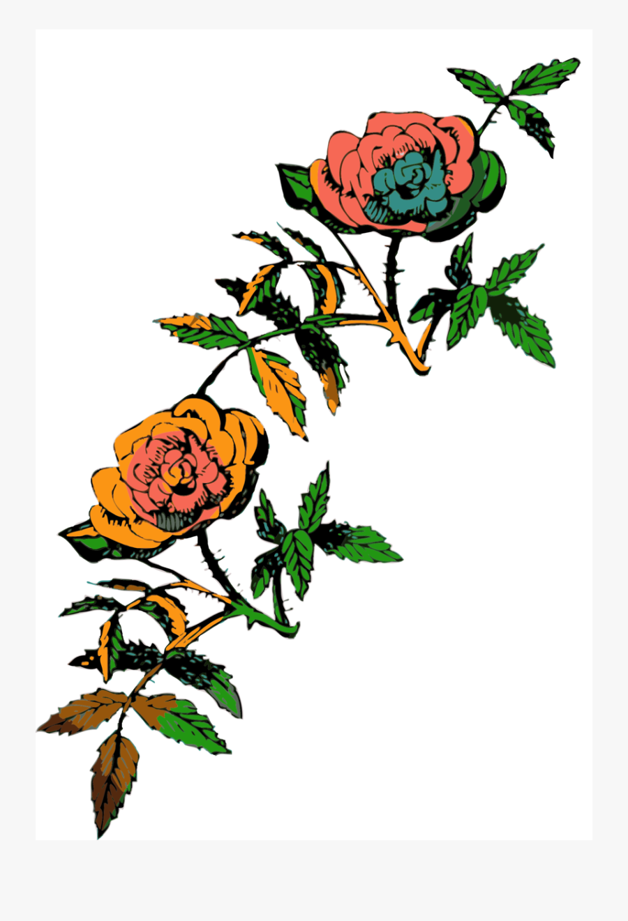 Drawing Black And White Roses, Transparent Clipart