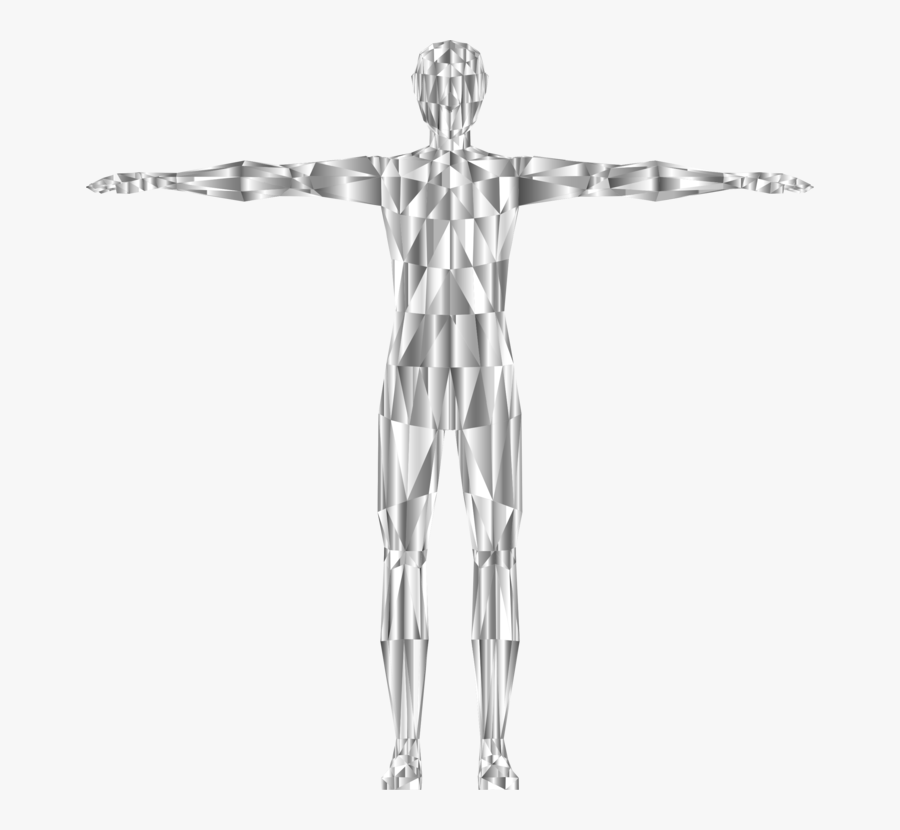 Shoulder,standing,human Body - Illustration, Transparent Clipart