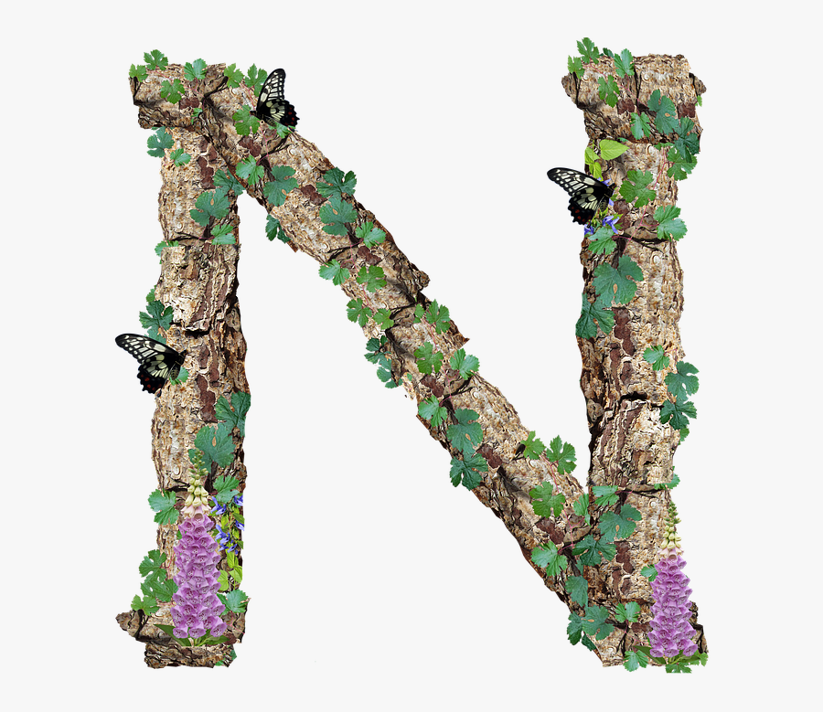 Alphabet, Letter, N, Rustic, Timber, Bark - Free Photo ...