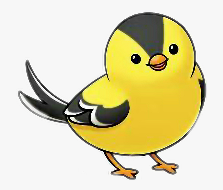 #bird #yellowbird #bird Colour Song Golden Finch #finchbird - قصة العصفور الصغير, Transparent Clipart