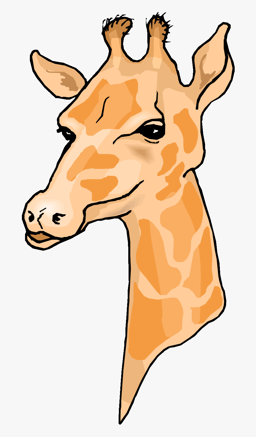 Giraffe 0 Images About Clip Art Zoo Jungle Animals - Clip Art Giraffe Head, Transparent Clipart