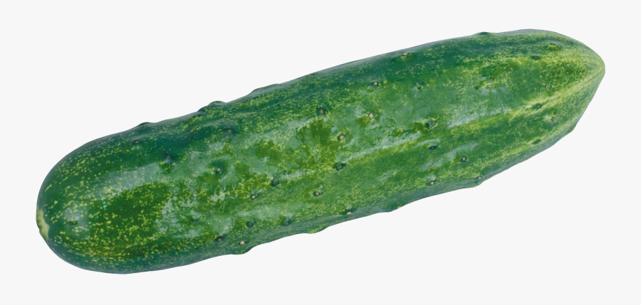 Download Cucumber Png Clipart - Cucumber Png, Transparent Clipart