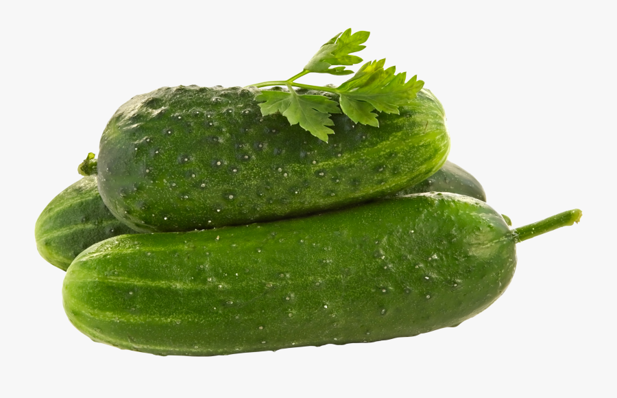 Cucumbers Png, Transparent Clipart