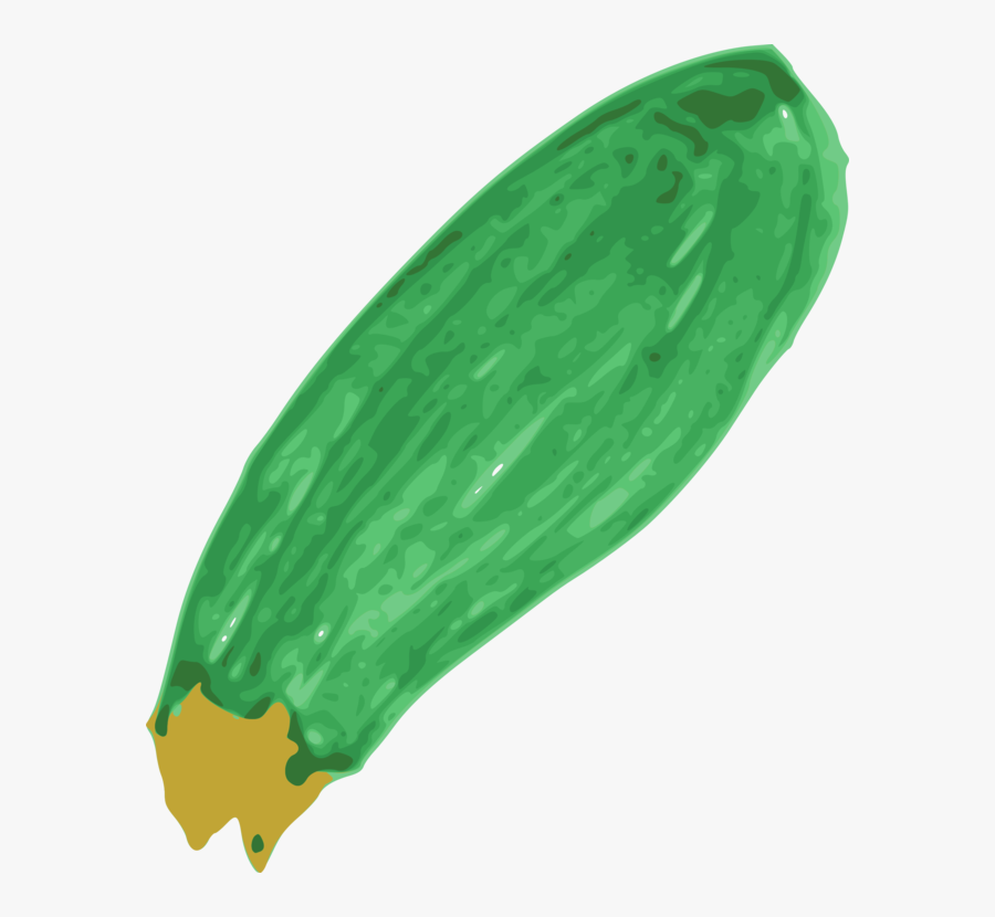 Vegetable,cucumber,green - رسم كوسا, Transparent Clipart