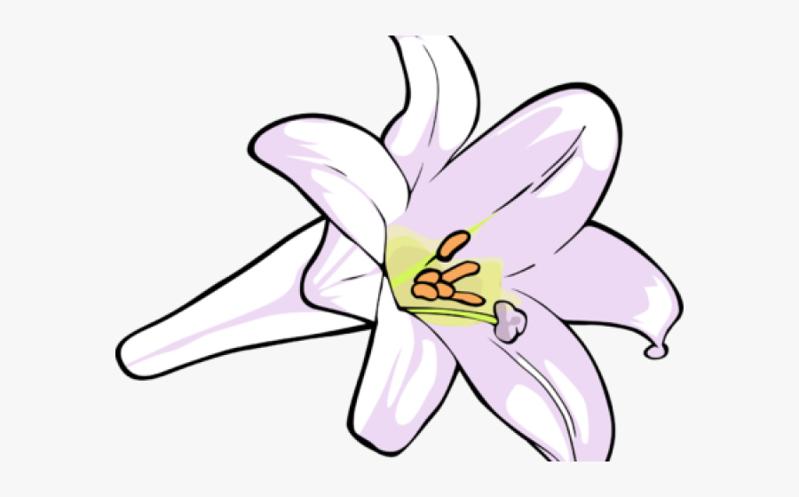 Calla Lily Clipart Religious - Lily, Transparent Clipart