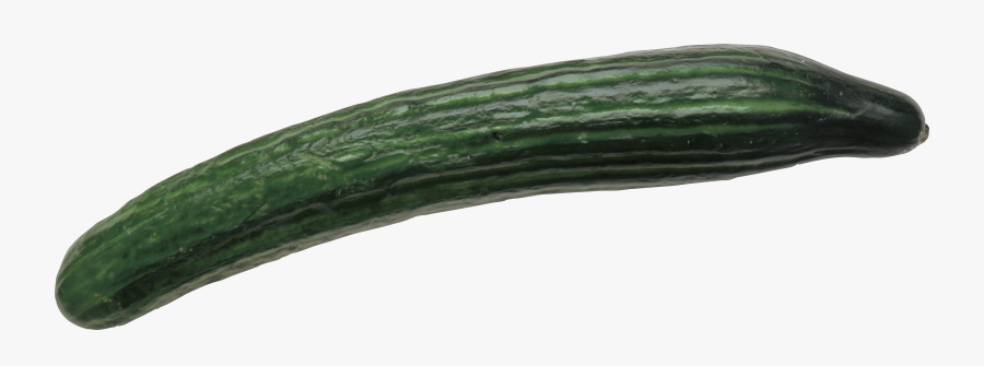 Snake Gourd, And Melon Cucumber,zucchini,summer Squash,luffa,food,pepino - Long Cucumber Png, Transparent Clipart