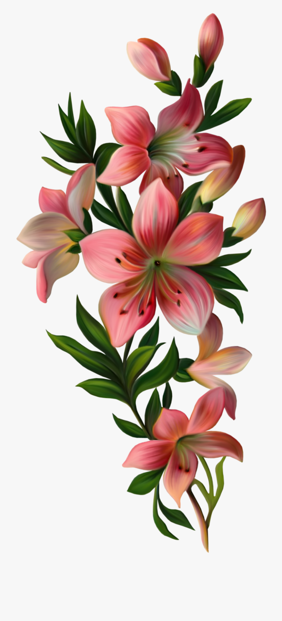 Mq Pink Lily Flowers Flower Garden Nature - Flowers With Leaves Png, Transparent Clipart