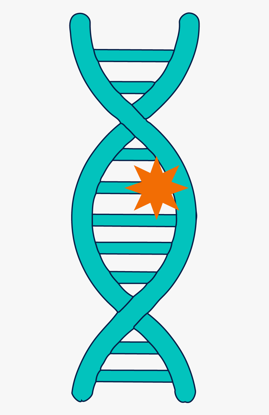 Genetic Mutation Clipart, Transparent Clipart