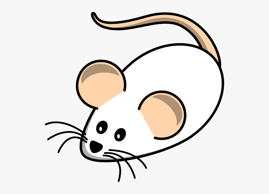 Field Mouse White Clip Art - White Mice Clip Art, Transparent Clipart