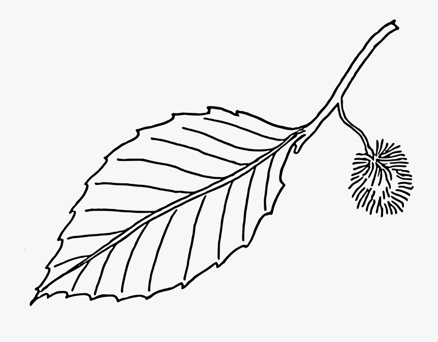 Clipart Leaves Black And White - Leaf Outline Vector Png, Transparent Clipart
