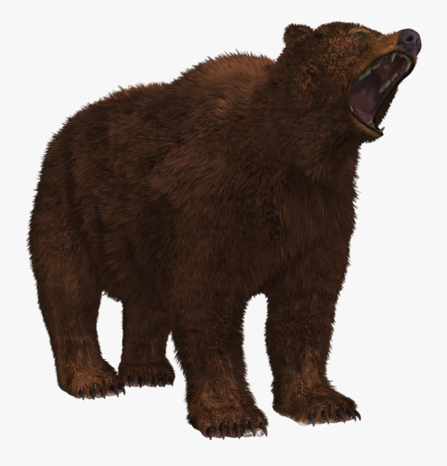 Clip Art Grizzly Bear Waving - Png Peninsular Grizzly Bear Transparent, Transparent Clipart