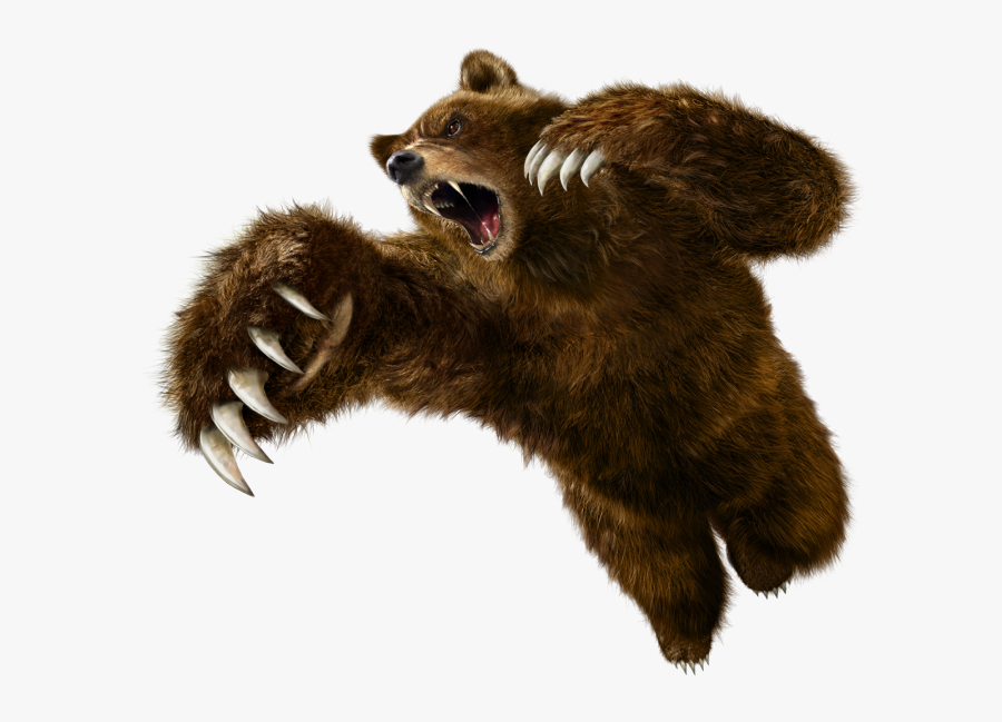 Grizzly Bear Png - Tekken 6 Kuma, Transparent Clipart